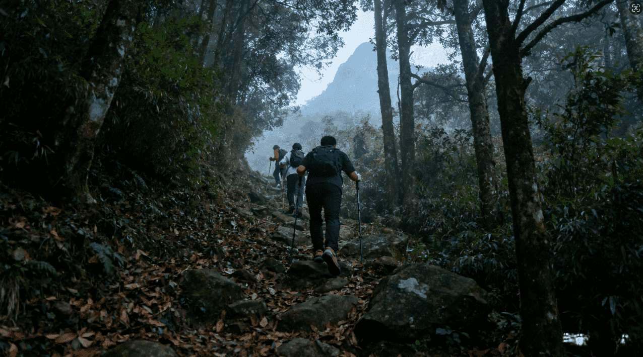 白鲸加速器能用吗，使用中常见的问题与解决方案